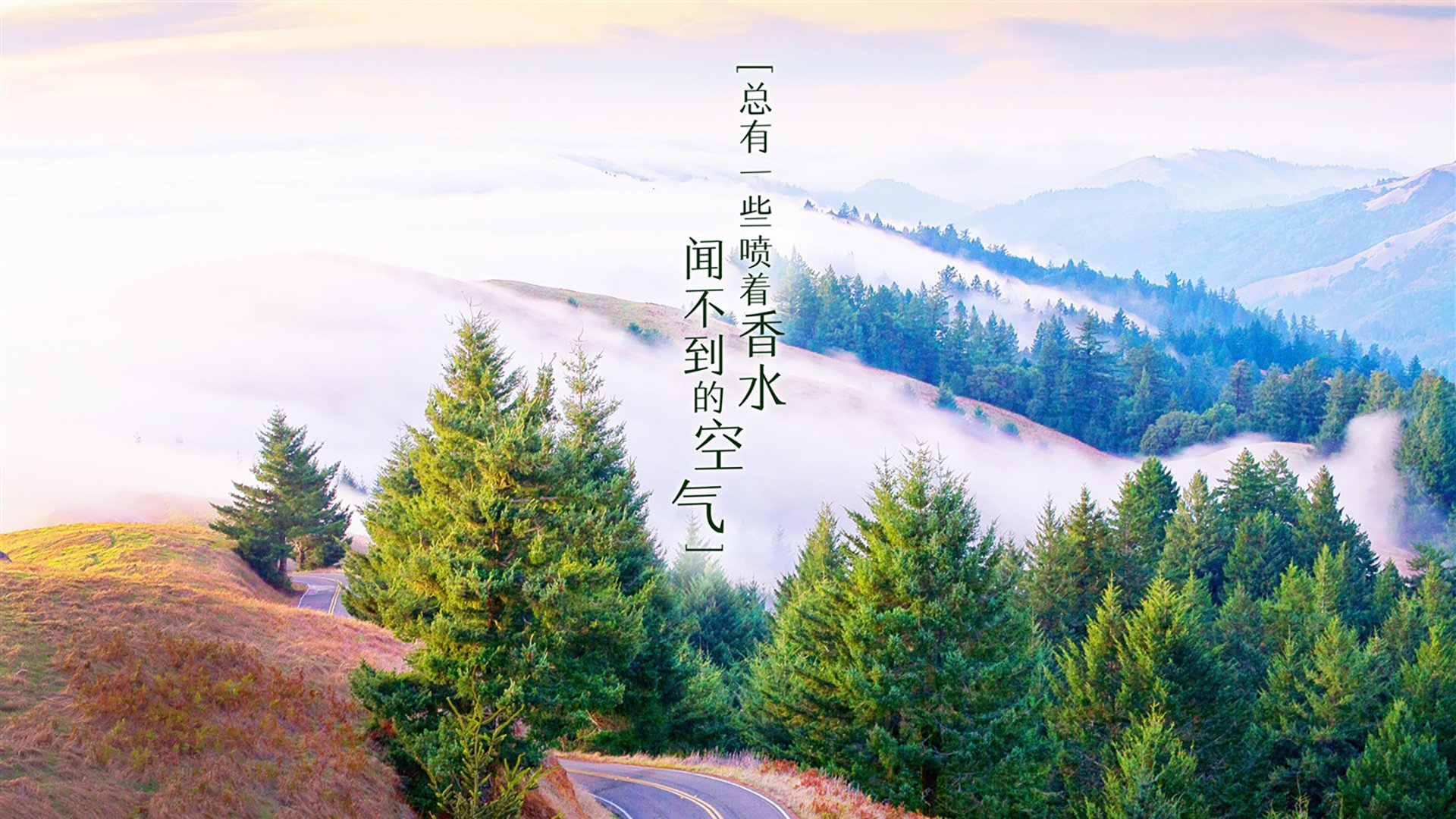 九游娱乐-【攻防技巧】奥沙利文：多角度解读他成功的战术布局，奥沙利文战报