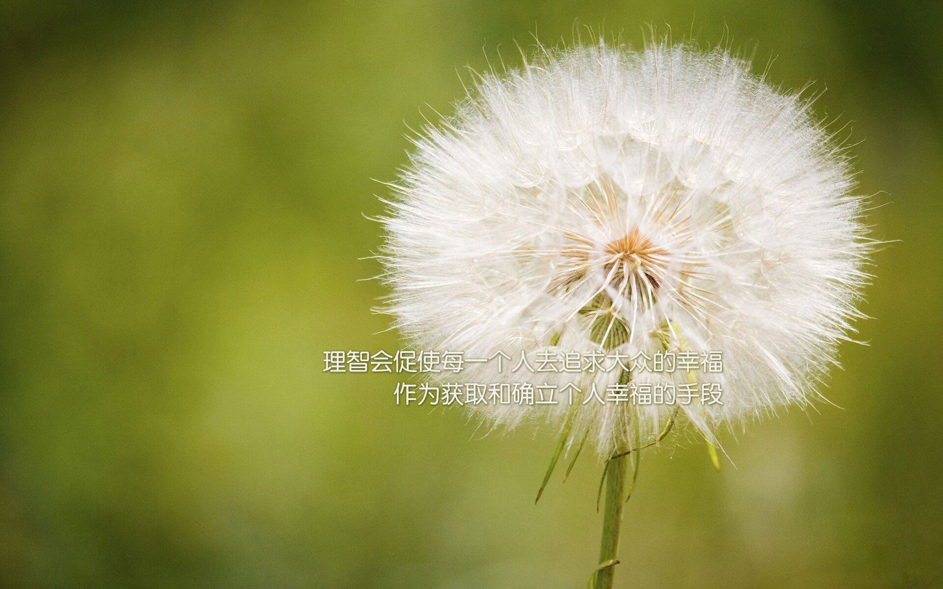 九游网-C9赛季不败纪录终结，c9夏季赛战绩