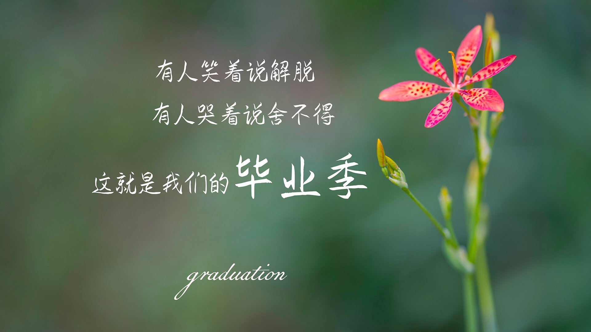 马拉松再掀热潮比赛延期引发讨论，马拉松赛事延期