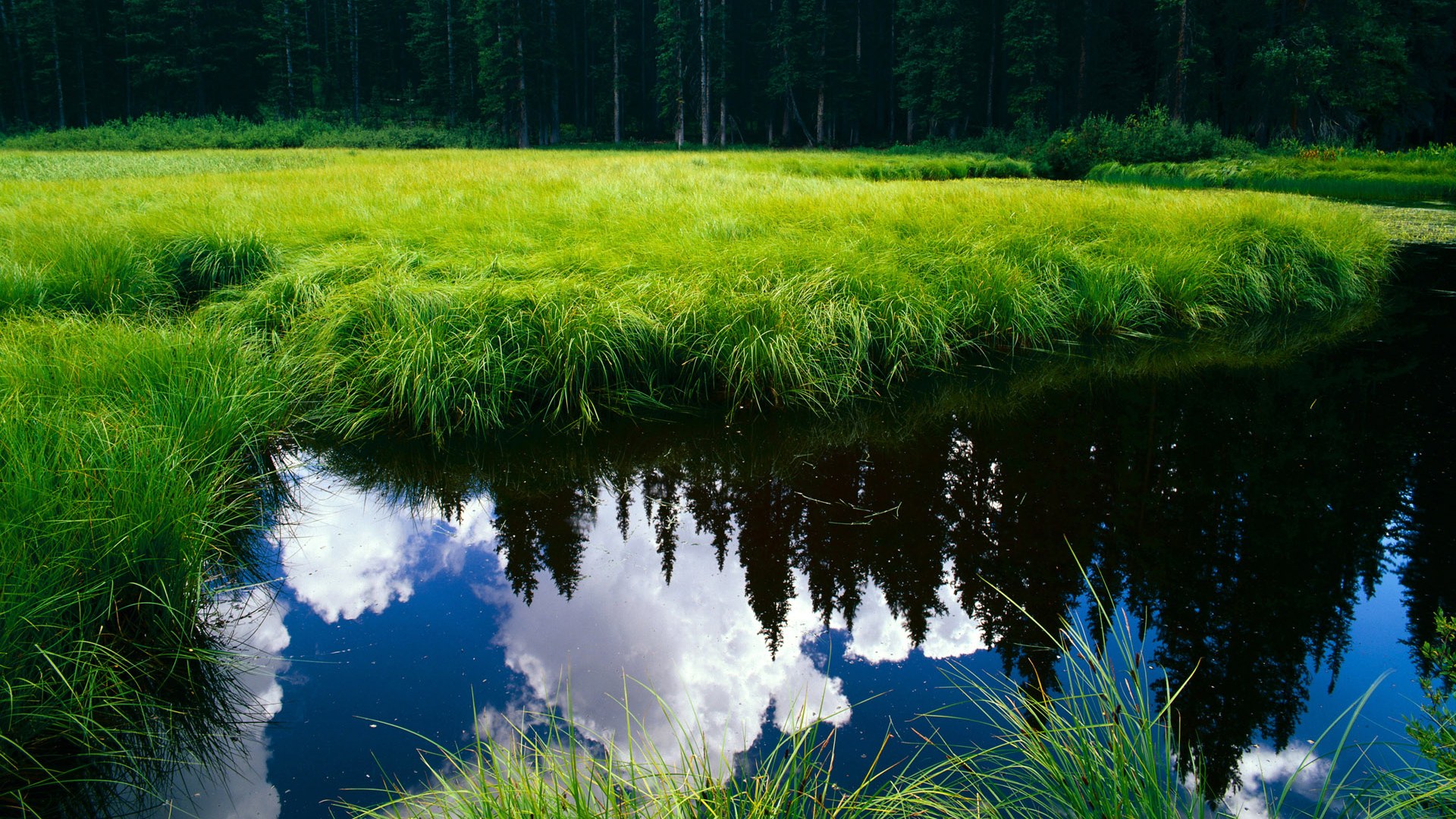CBA俱乐部重视替补阵容建设提升轮换深度与持续输出，cba替补队员都有谁