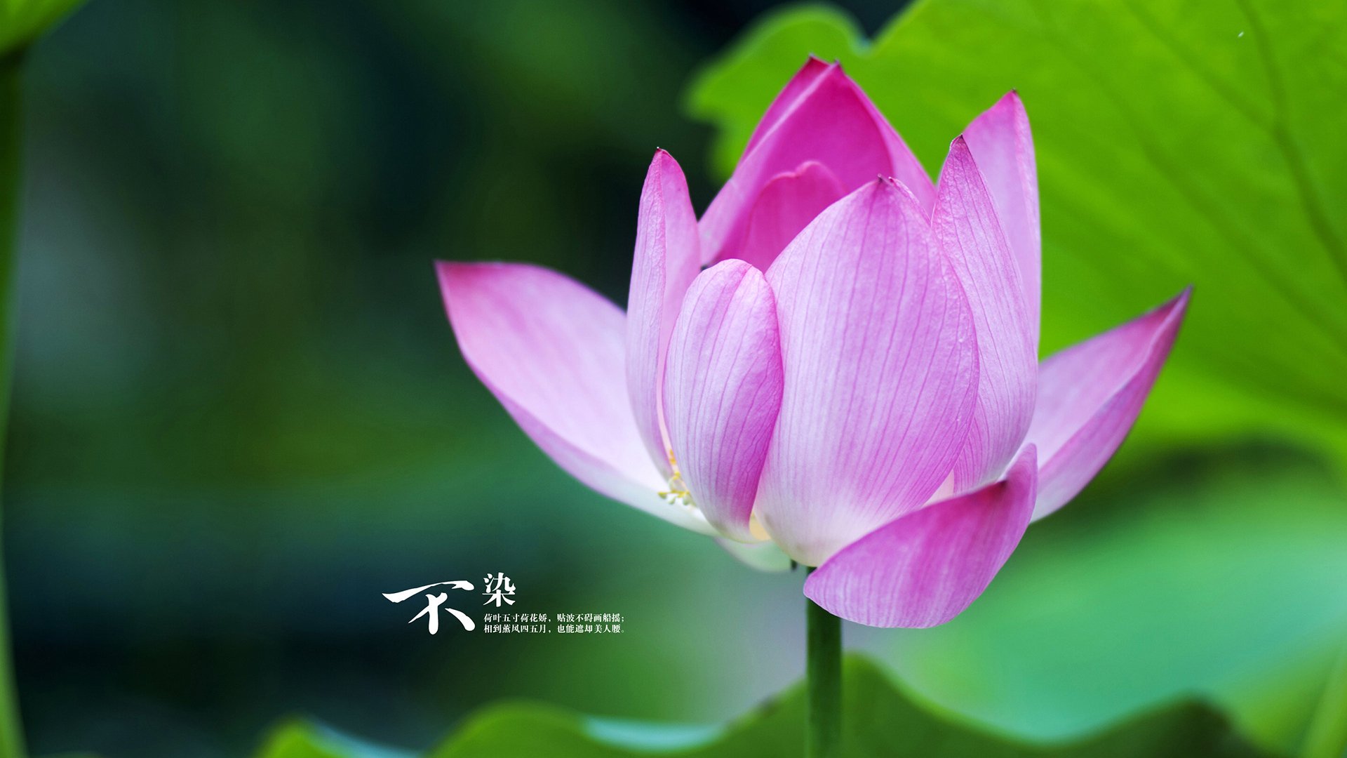 中国足球国家队部署边路进攻专项提升计划，足球边路进攻战术视频