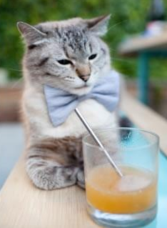 乌拉圭女篮在南美锦标赛中表现突出，迈向新纪元，乌拉圭女子篮球联赛