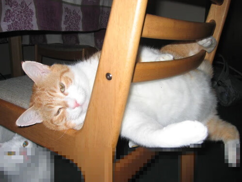 JIUYOU GAMING-俱乐部社群活动频繁，粉丝忠诚度持续上升，俱乐部群名称大全霸气