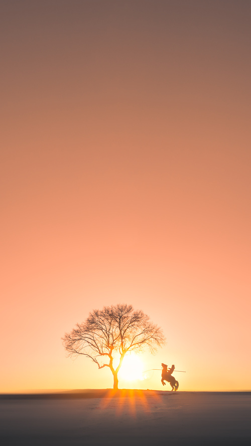 张雨霏蝶泳技巧日臻完美，张雨霏蝶泳教学