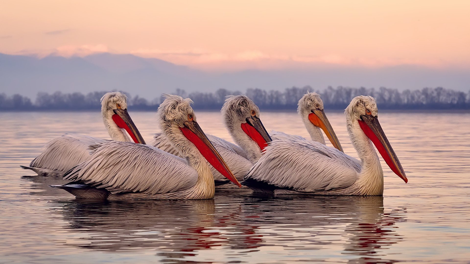 技术稳定性强，发挥稳定度高于以往，稳定化技术