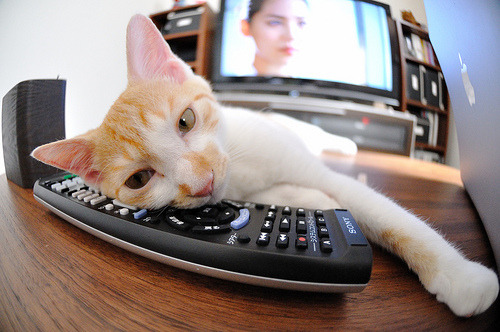 九游（jiuyou.com）游戏-数字化青少年足球培训体系实现多维度评估与个性化指导，全国青少年足球示范课教案