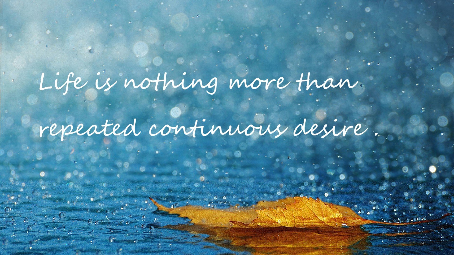 九游下载官网-法国新星崭露头角，未来球队中不可或缺的核心