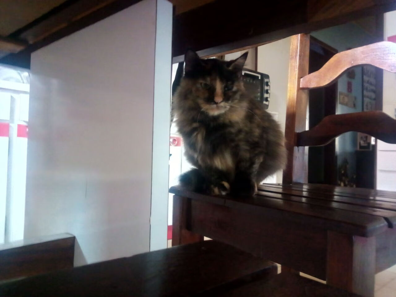 英国男子接力队赛后分享备战心得，英国接力银牌被取消